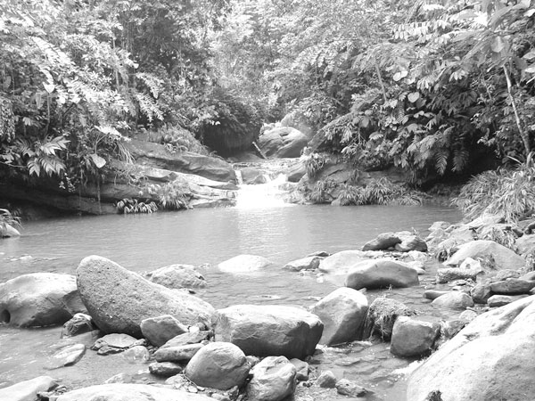 Antioquia avanza en estudio de servicios ecosistémicos