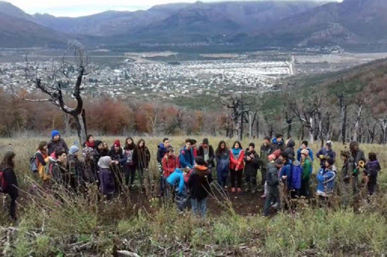 Argentina. Restauran con árboles nativos un área incendiada en el Cerro Otto