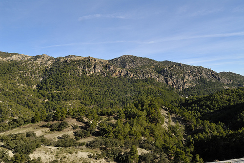 Liberados en la Sierra de Castril tres quebrantahuesos nacidos en el centro de cría de Guadalentín