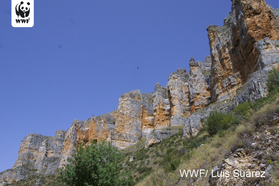 Qué ‘narices’ pasa con el PRUG del Parque Natural de las Hoces del río Riaza