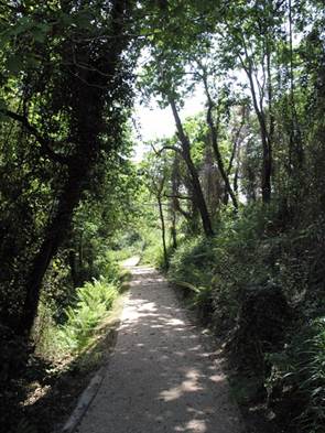 Fondo Verde y su curso de postgrado que está triunfando por todo el mundo: Análisis del Paisaje