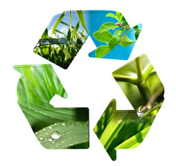 Si reciclas en tu casa