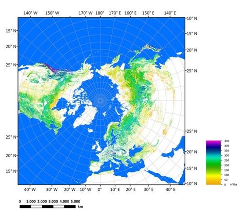 La ESA crea el mapa más preciso de la biomasa boscosa del hemisferio norte
