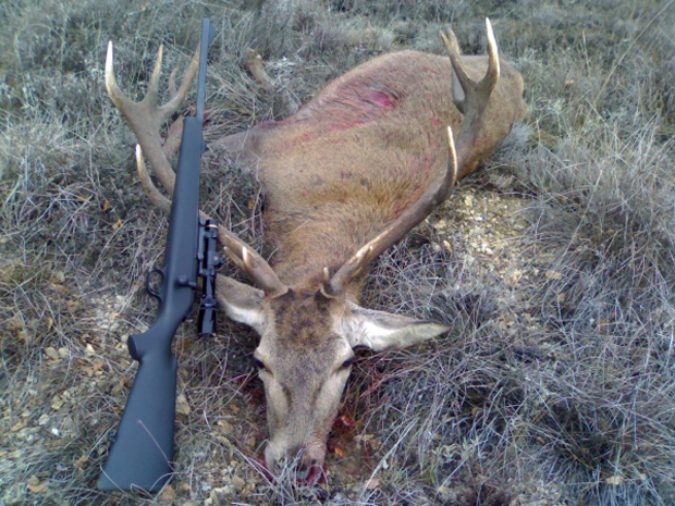 Modifican el examen del (Matar por Diversion - Maltrato Animal) cazador en Castilla-La Mancha