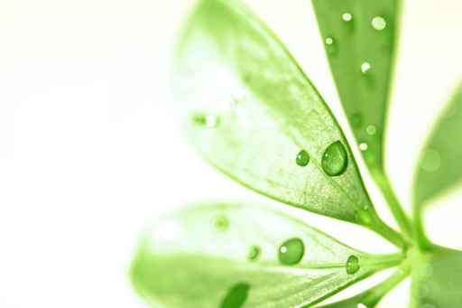 Todo sobre ‘Análisis de riesgos ambientales’ en este curso de ISM