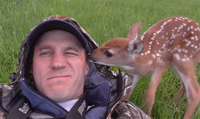 La increíble historia del cervatillo abandonado (Vea VIDEO)