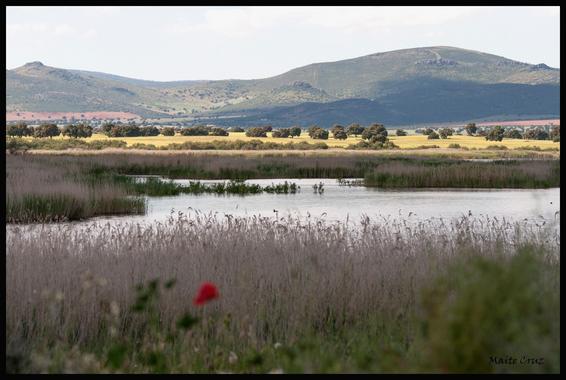 Los humedales de las zonas semiáridas se adaptan peor a los cambios durante el período seco