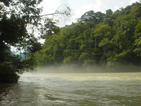 Parque nacional del río Abiseo cumple 28 años conservando bosques nublados de San Martín