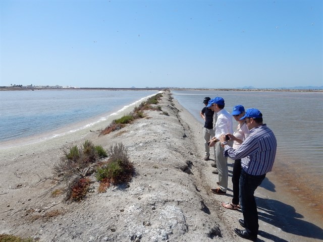 Medio Natural organiza hoy una visita guiada gratuita a las Salinas y Arenales de San Pedro