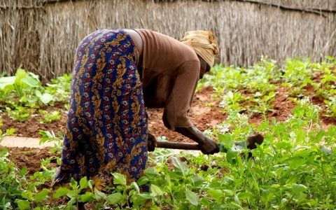 Cómo se mide el desarrollo