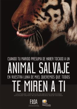 Campaña para promover que las lunas de miel sean respetuosas con los animales