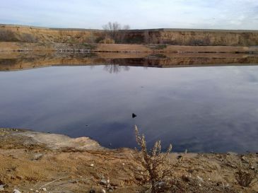 Ecologistas organiza mañana una visita a la laguna del chapapote de Arganda