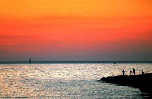 Ibiza se promociona por primera vez en la feria Birdfair de Inglaterra