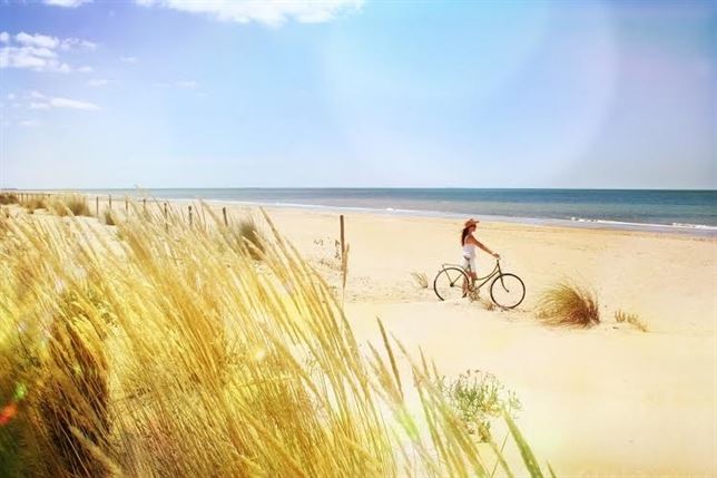 Diez formas de disfrutar de la piscina y la playa de manera saludable