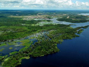Los bosques de Latinoamérica en los medios– Julio 2011