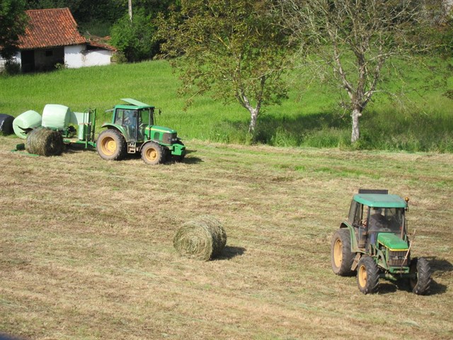 Cómo conseguir que la PAC repercuta positivamente en la biodiversidad