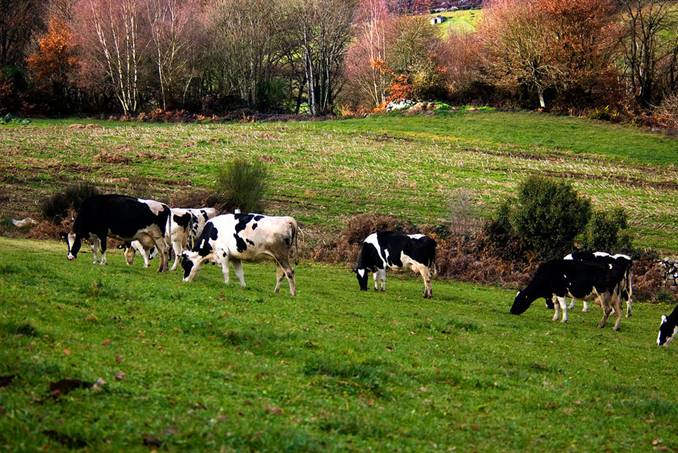 Promoverán la conservación del paisaje gallego mediante acciones educativas