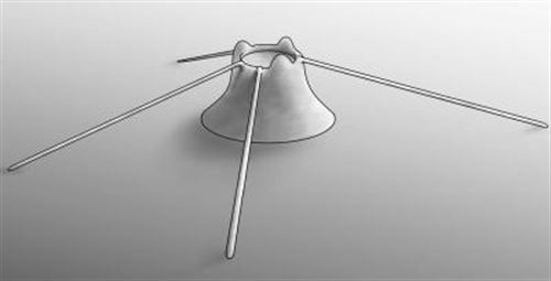 Australia. El animal con esqueleto más antiguo del mundo