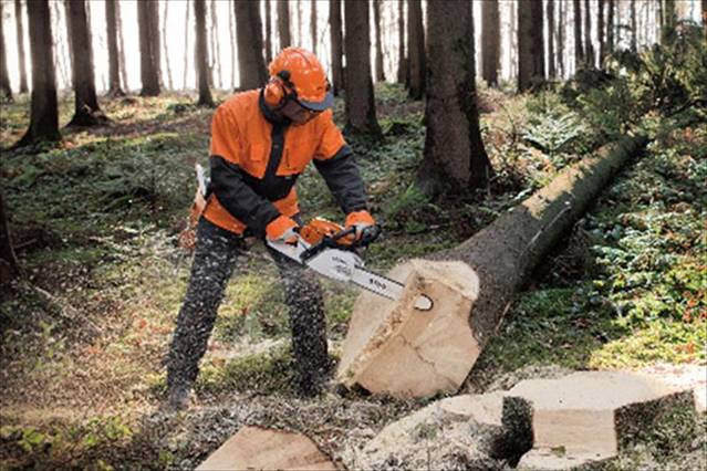 Arranca la ‘Estrategia para la Generación de Empleo Medioambiental en Andalucía 2020’