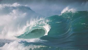 El Día Mundial de los Océanos