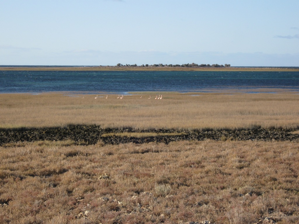 Relevamiento de estado de conservación de suelos en las Áreas Protegidas Costeras de Río Negro