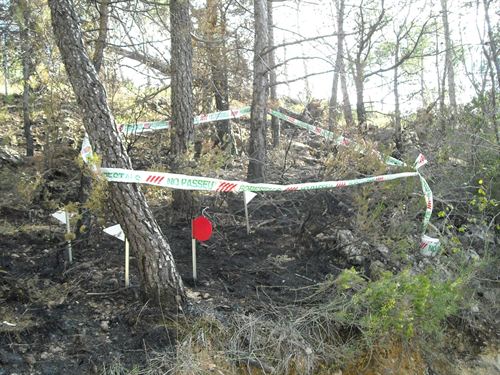 Detenida una pirómana en Torrelles de Foix (Barcelona) por incendiar dos veranos una urbanización