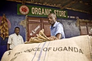 Cómo conseguir un comercio internacional más equitativo