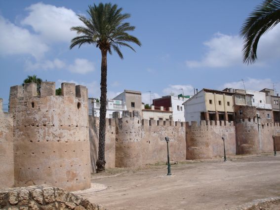 Alzira (Valencia) detecta residuos fitosanitarios en el agua de la localidad