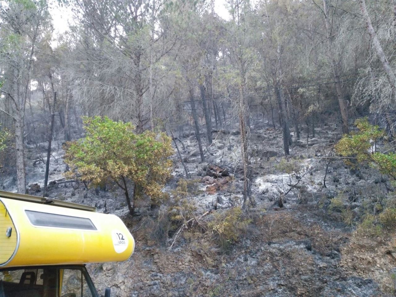 Controlado el incendio forestal en Puigpunyent (Baleares)