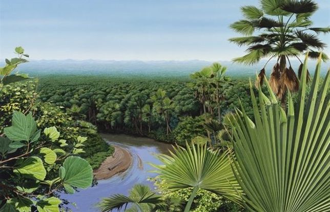 El mismo meteorito que fulmino de la faz de la tierra a los dinosaurios deparó bosques prósperos de hoja caduca