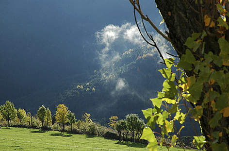 España como referente en biodiversidad