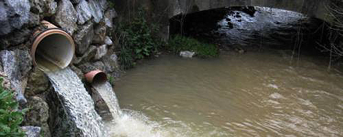 Asturias. XXI Premio Buyada Purpurina