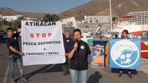 ATIRACAN STOP a la pesca deportiva de tiburones y rayas (Gran Canaria)