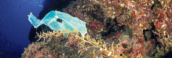 Marea de plásticos en el mar balear