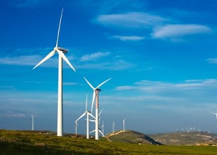 Naturalistas aplauden la decisión del TSJC de suspender de forma cautelar el mapa eólico catalán