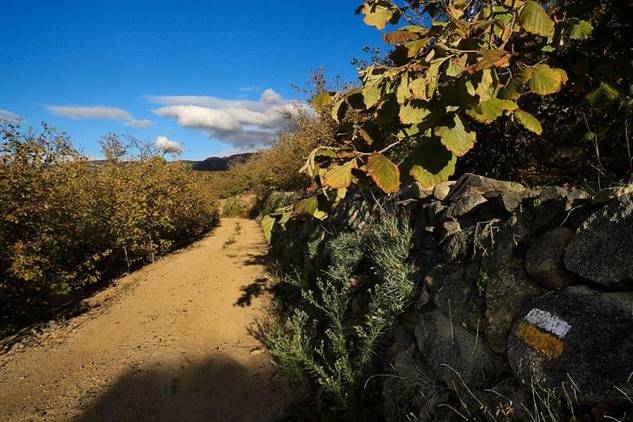 Se inicia la señalización de la nueva red de caminos del Baix Camp (Tarragona)