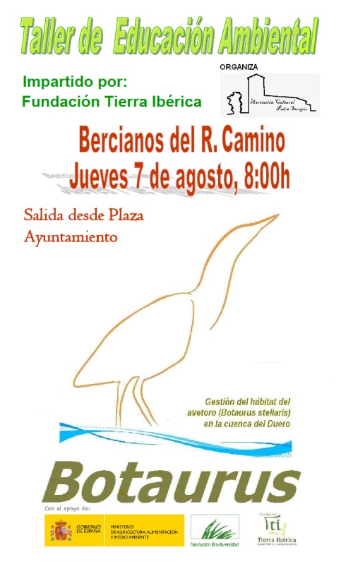 Proyecto ‘Botaurus. Gestión del hábitat del avetoro (Botaurus stellaris) en la cuenca del Duero’