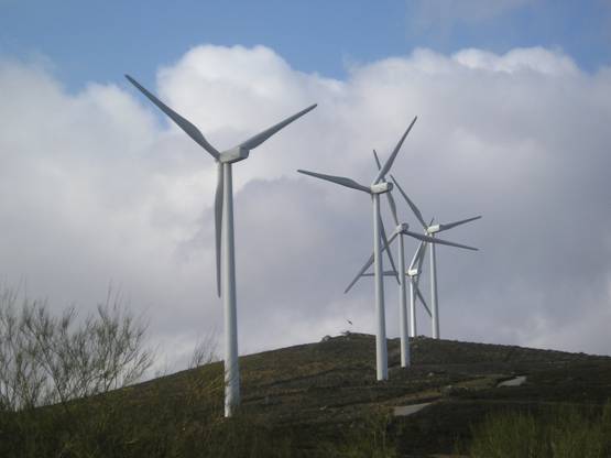 Galicia. El TS desestima el recurso contra la anulación de la suspensión del concurso eólico del bipartito