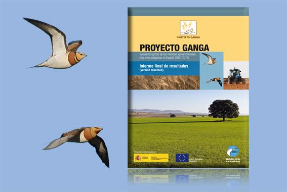 El adelanto de las cosechas está provocando la muerte de aves amenazadas en zonas agrícolas