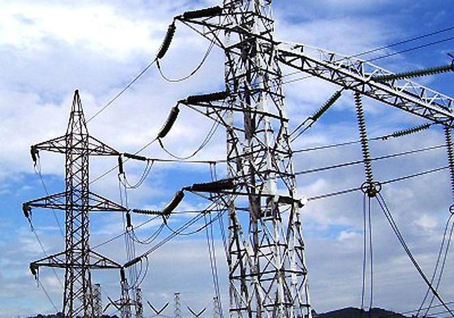 Las mejoras en tendidos eléctricos reducen un 80 por ciento la mortalidad de aves en España