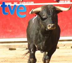 EQUO denuncia que la vuelta de las Corridas de Toros a RTVE es un nuevo avance de la ofensiva taurina del PP
