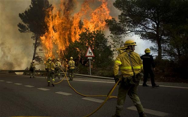 Vía internet ciudadanos se unen para reforestar Málaga tras el incendio de la Costa del Sol