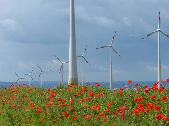 EWEA y GWEC también lanzan su concurso fotográfico de cara al Día del Viento