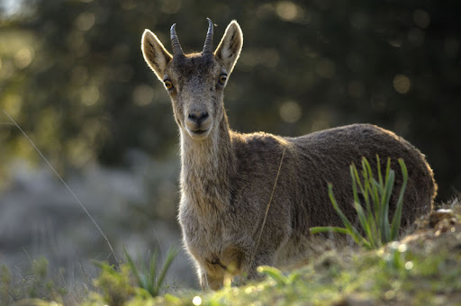 España vive en gran medida del turismo