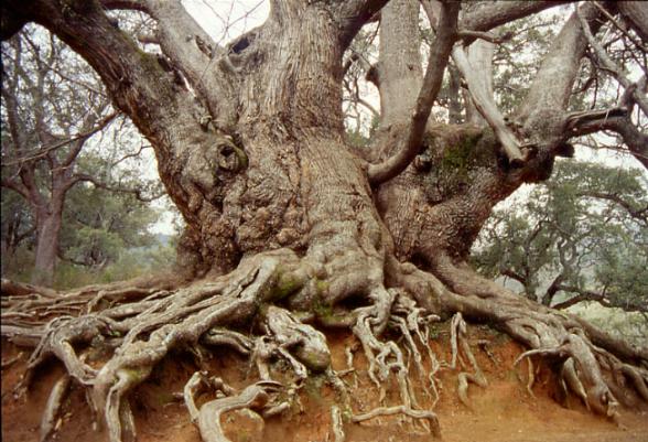 La erosión del suelo puede acelerar el cambio climático
