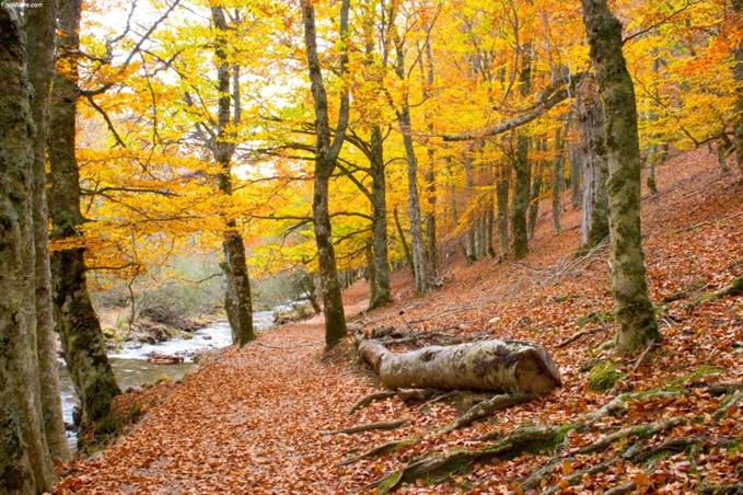 La Comunidad de Madrid ofrece un programa de sendas guiadas gratuitas para conocer la Sierra del Rincón