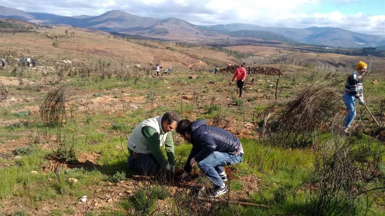 Recuperando la Sierra de Gata