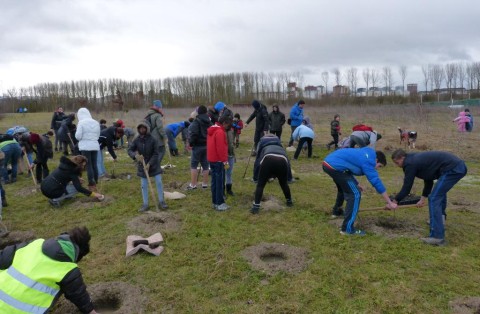 200.000 plantas se han plantado en el Anillo Verde de Vitoria-Gasteiz