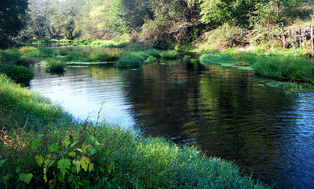 La Xunta ratifica que el río Tea está "prácticamente recuperado" e iniciará acciones de mejora "lo antes posible"