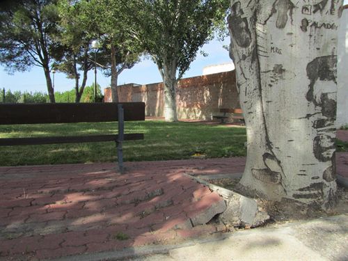 Aragón. IU critica el abandono de viales y jardines en Movera